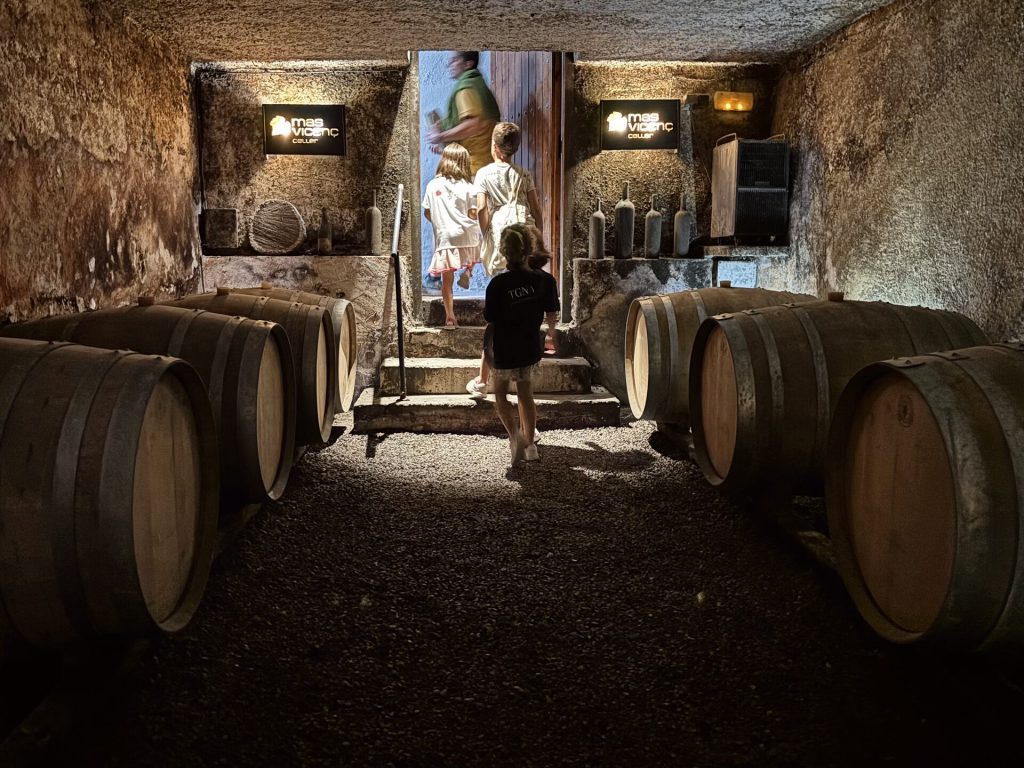 Fotografia de l'interior fosc del celler Mas Vicenç, amb fileres de bótes de vi on reposen per al seu envelliment.